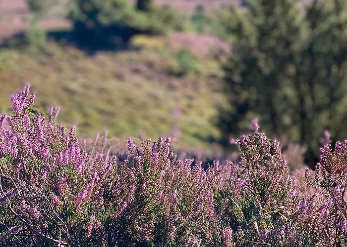 Casa53n Privat bolig